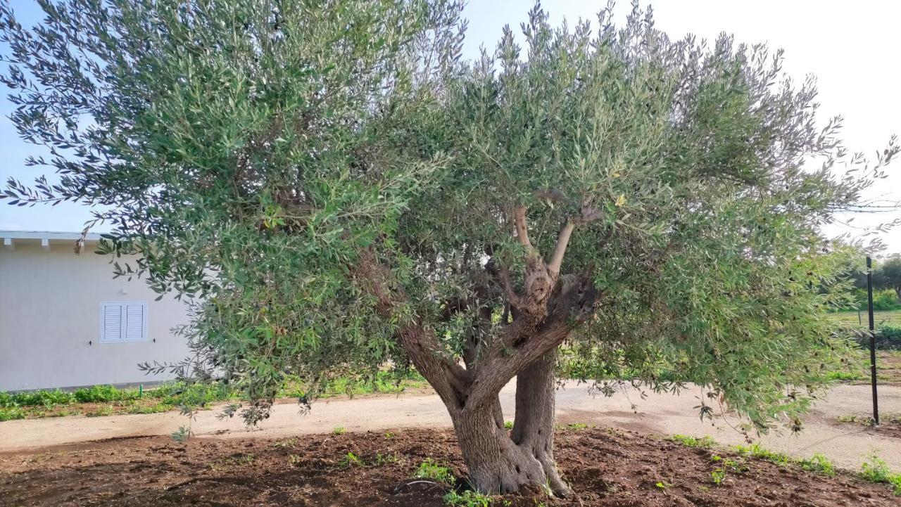 Villa Le Zagare Di Vendicari à Lido di Noto Extérieur photo